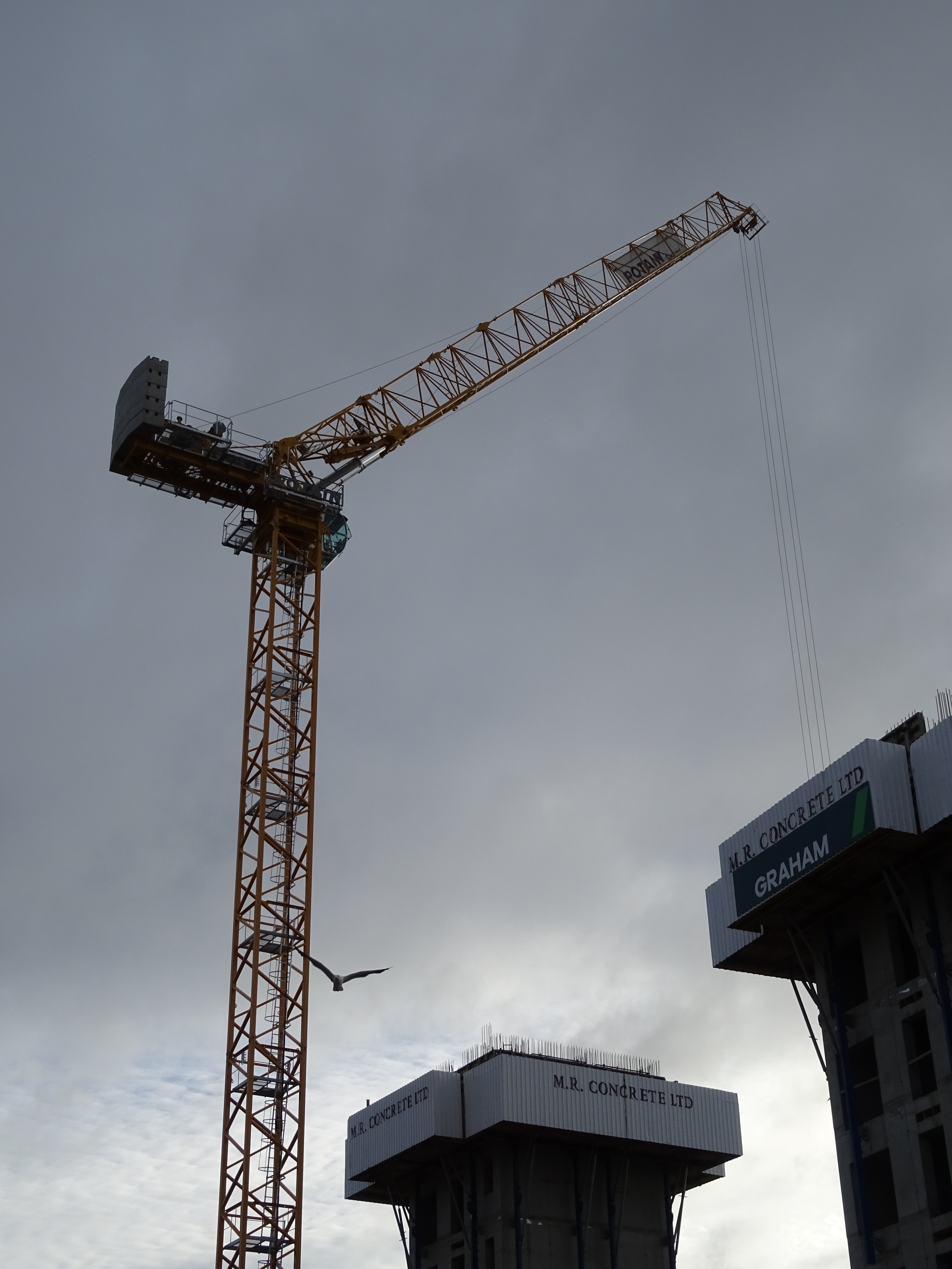 World’s first Potain MRH 175 hydraulic luffing jib crane commissioned