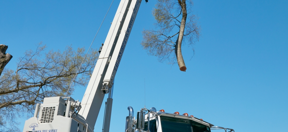 Manitowoc