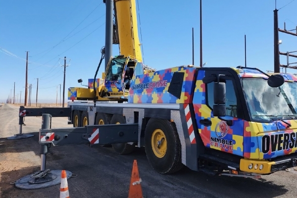 Nimble-Crane-to-shine-light-on-Autism-Awareness-Month-with-vibrant-crane-wrap-02.jpg