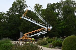 Igo-M-24-19-self-erecting-crane.jpg